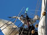 Lady Washington 037